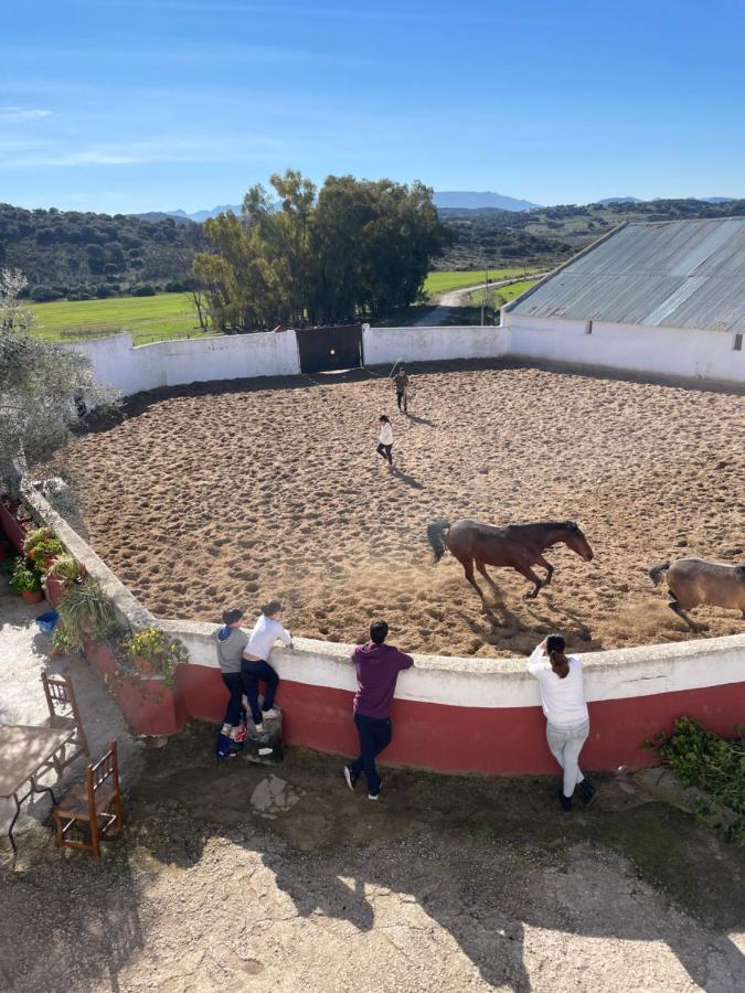 Casa Rural Finca De Las Encarnaciones Bajas Villanueva de San Juan Kültér fotó