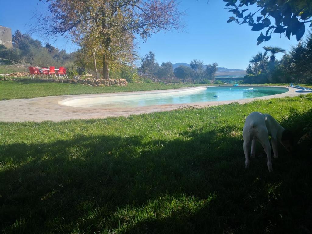 Casa Rural Finca De Las Encarnaciones Bajas Villanueva de San Juan Kültér fotó